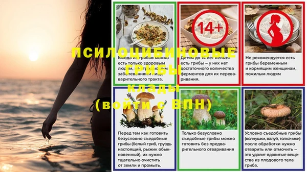 спайс Липки