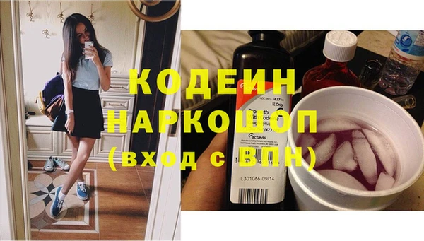 apvp Вяземский