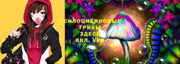 mdpv Володарск