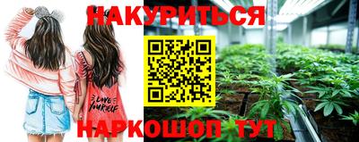 apvp Ирбит