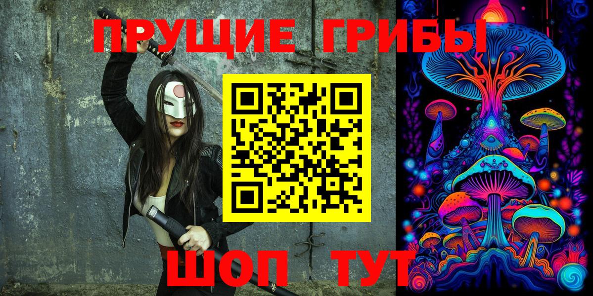 Мариинск  Галлюциногенные грибы Cubensis  что такое   Вход с VPN 